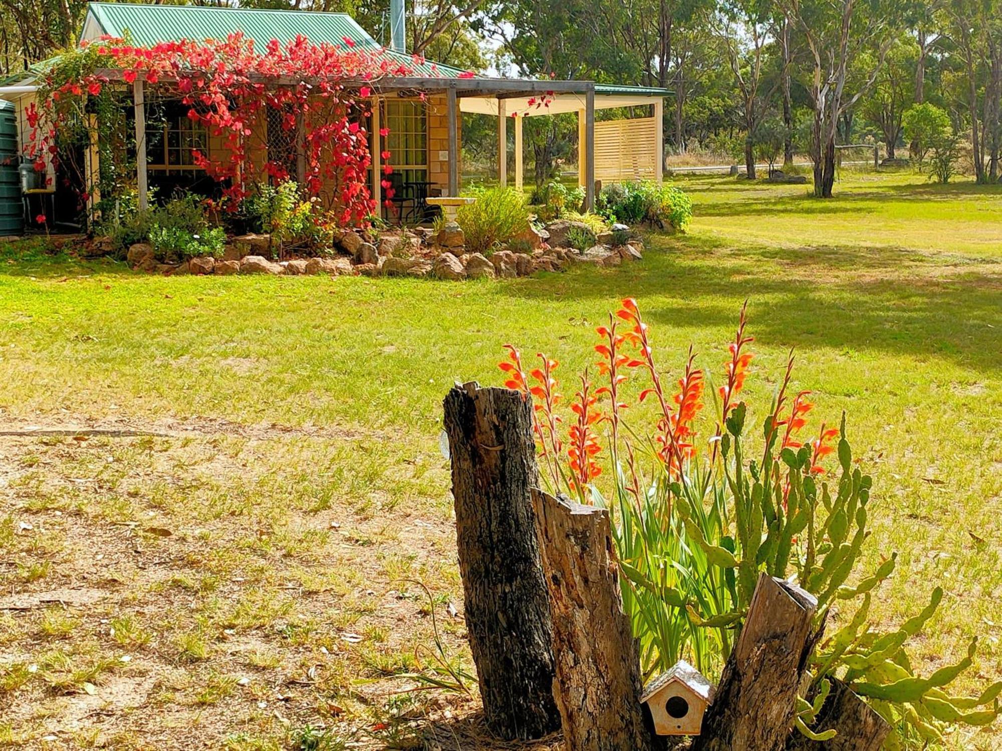 Severn River Cottages Severnlea Kültér fotó